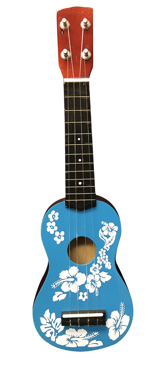 Hawaiian National Guitar, Ukulele, with a Painted Brazil Flag, on a White  Isolated Background, As a Symbol of Folk Art or a Stock Photo - Image of  closeup, international: 146970488